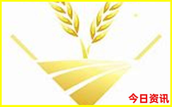 2025年新澳天天彩免费查询
